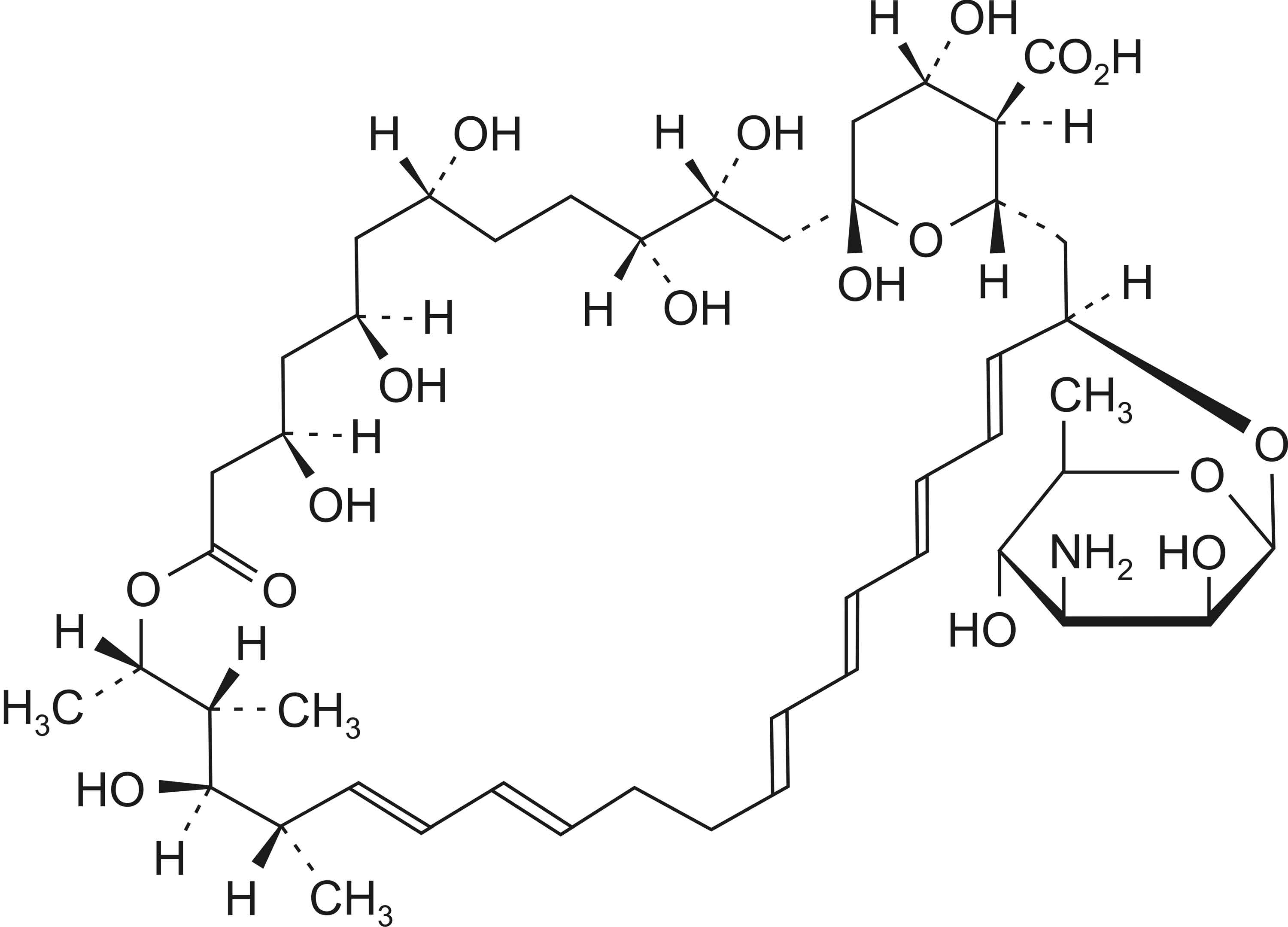 Nystatin-Tablets-Structure